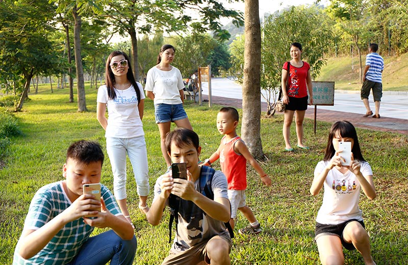 201710251607286078.jpg 201710251607286078.jpg